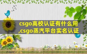 csgo高校认证有什么用,csgo蒸汽平台实名认证