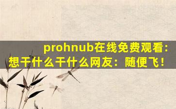 prohnub在线免费观看:想干什么干什么网友：随便飞！